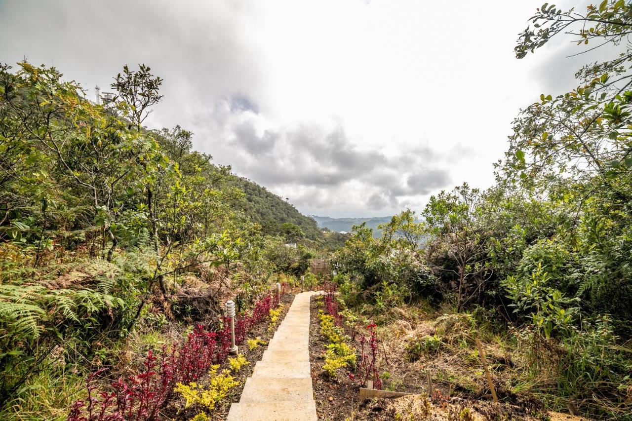Cerro Verde Mirador ميديلين المظهر الخارجي الصورة